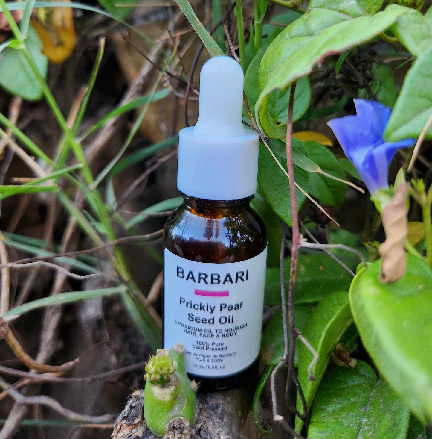 The Premium BARBARI Oil 100% Pure Prickly Pear Seed Beauty Oil 15 mL