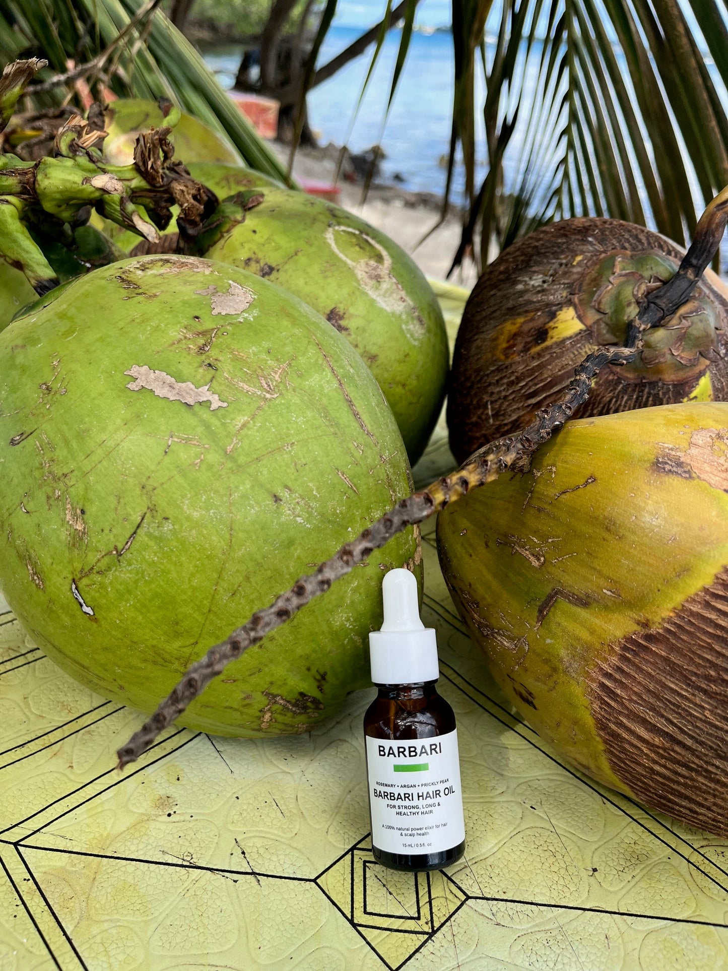 BARBARI Hair Oil Argan, Rosemary & Pickly Pear